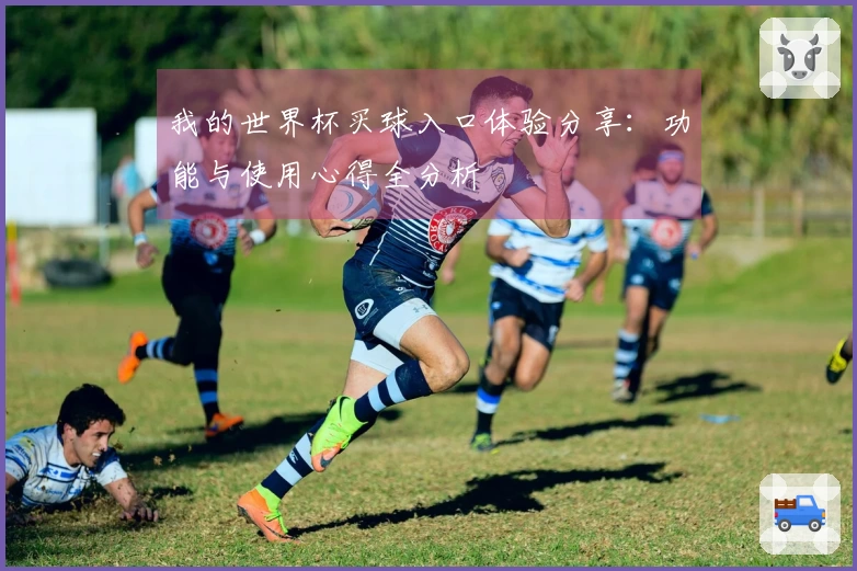 我的世界杯买球入口体验分享：功能与使用心得全分析