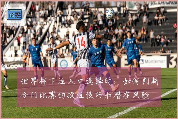 世界杯下注入口选择时，如何判断冷门比赛的投注技巧和潜在风险