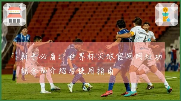 新手必看：世界杯买球官网网址功能全面介绍与使用指南