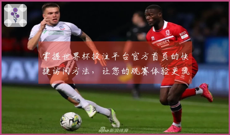 掌握世界杯投注平台官方首页的快捷访问方法，让您的观赛体验更流畅