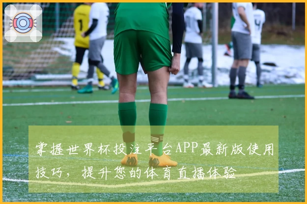 掌握世界杯投注平台APP最新版使用技巧，提升您的体育直播体验