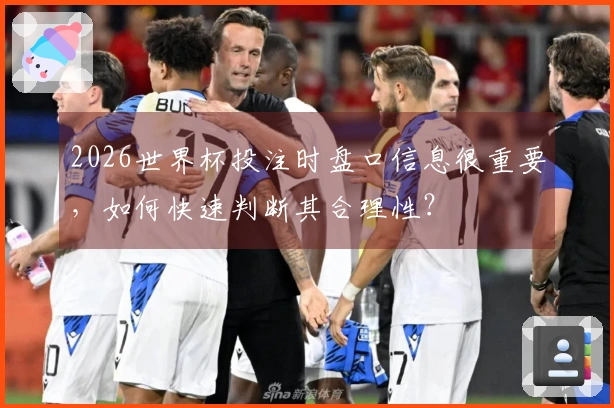 2026世界杯投注时盘口信息很重要,如何快速判断其合理性?