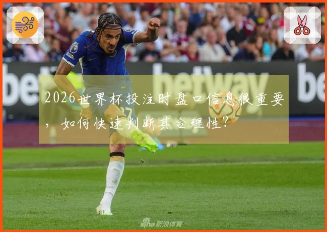 2026世界杯投注时盘口信息很重要，如何快速判断其合理性？
