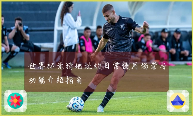 世界杯竞猜地址的日常使用场景与功能介绍指南