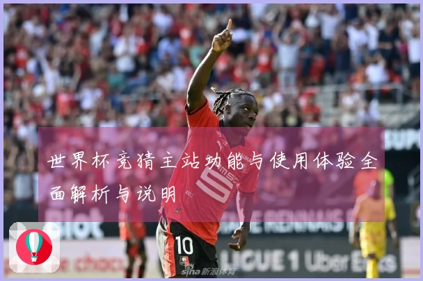 世界杯竞猜主站功能与使用体验全面解析与说明