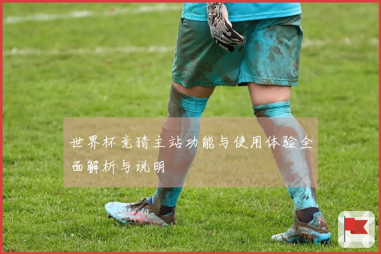 世界杯竞猜主站功能与使用体验全面解析与说明