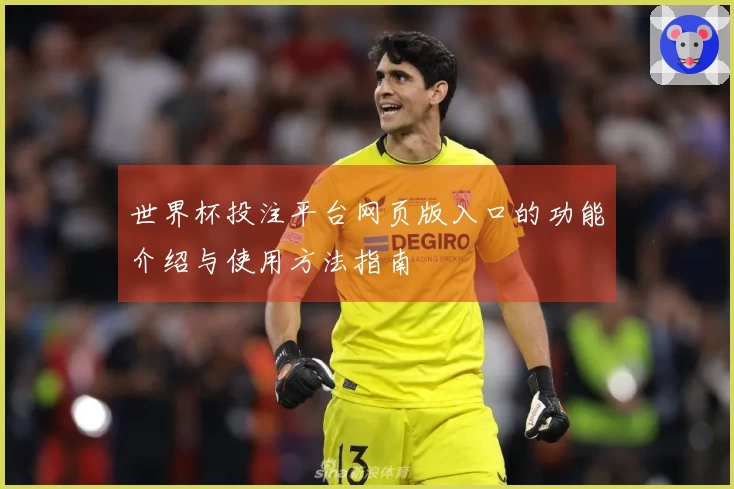 世界杯投注平台网页版入口的功能介绍与使用方法指南