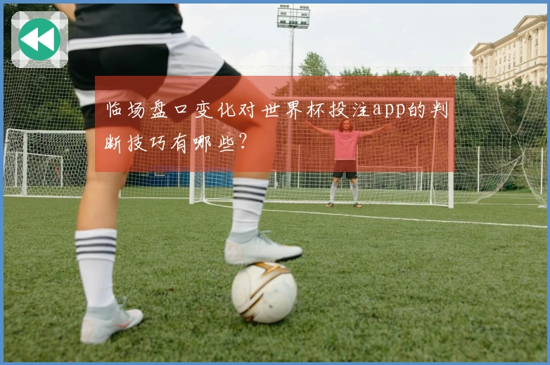 临场盘口变化对世界杯投注app的判断技巧有哪些？