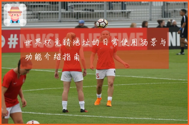 世界杯竞猜地址的日常使用场景与功能介绍指南