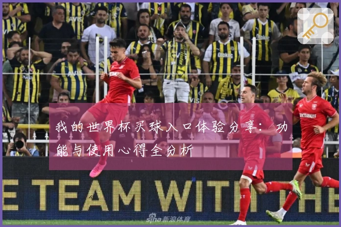 我的世界杯买球入口体验分享：功能与使用心得全分析