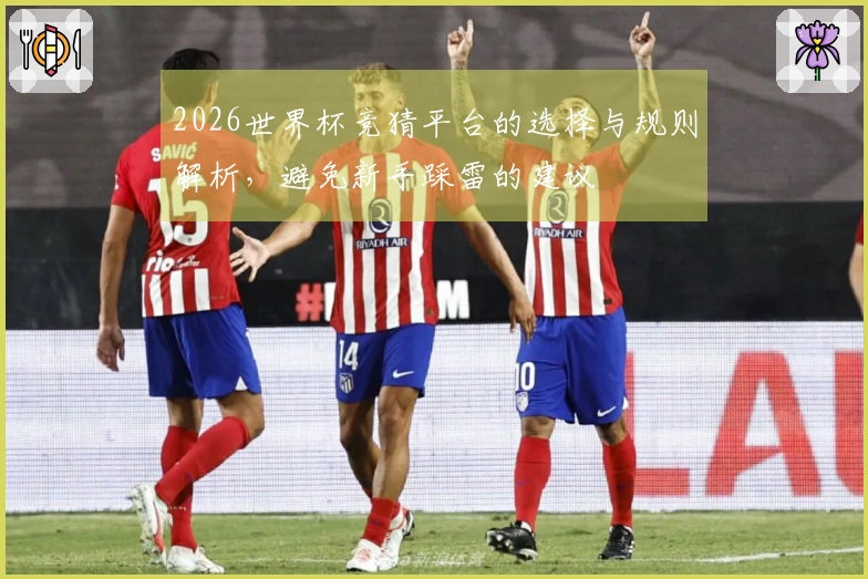 2026世界杯竞猜平台的选择与规则解析，避免新手踩雷的建议