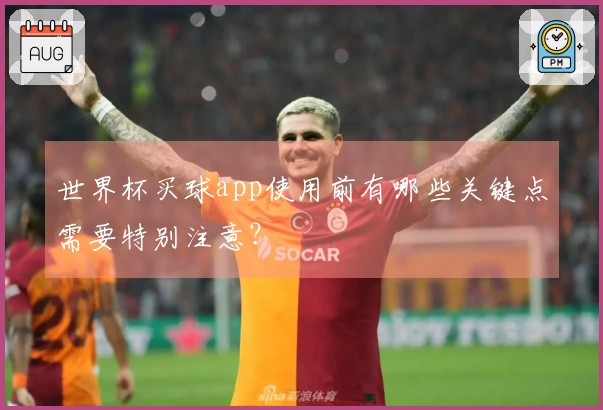 世界杯买球app使用前有哪些关键点需要特别注意？