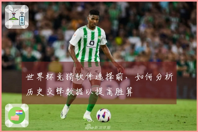 世界杯竞猜软件选择前，如何分析历史交锋数据以提高胜算