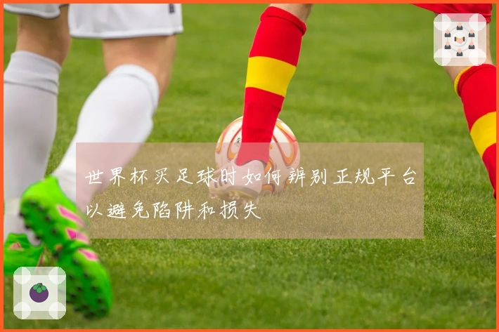 世界杯买足球时如何辨别正规平台以避免陷阱和损失