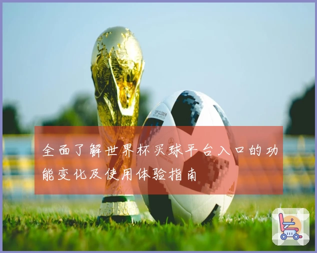 全面了解世界杯买球平台入口的功能变化及使用体验指南